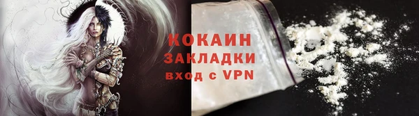 PSILOCYBIN Богданович