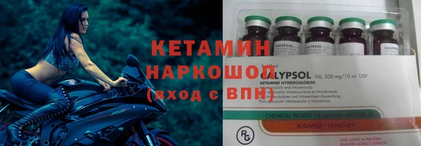 стаф Бородино