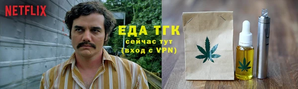 стаф Бородино