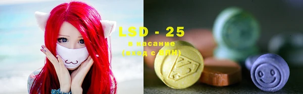 стаф Бородино