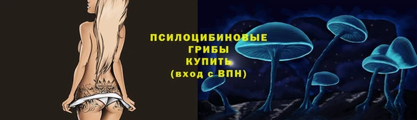 тгк Богородицк
