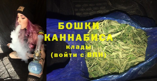 стаф Бородино