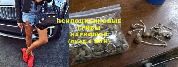 стаф Бородино