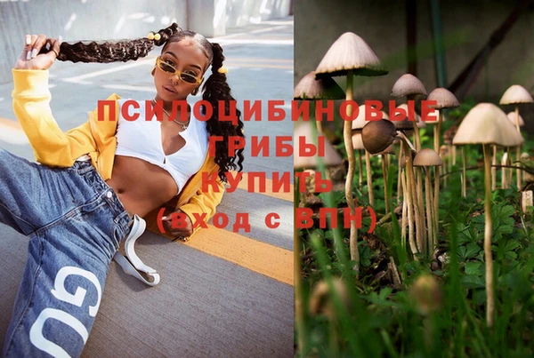 стаф Бородино