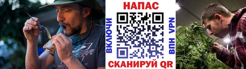 МАРИХУАНА гибрид Нальчик